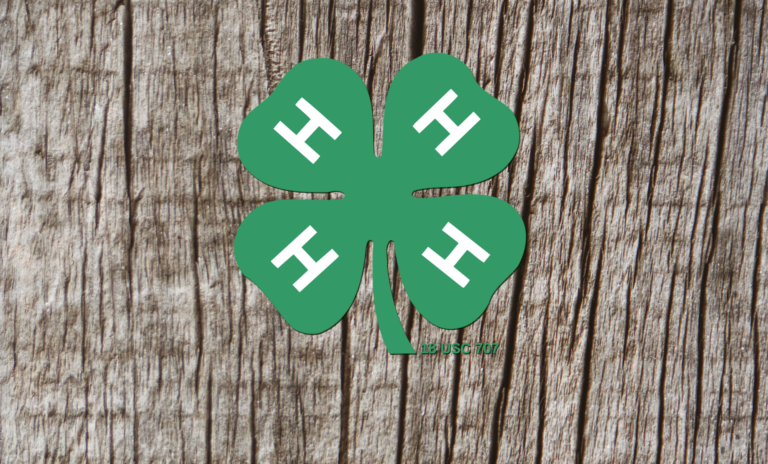 4-H Winter Programs