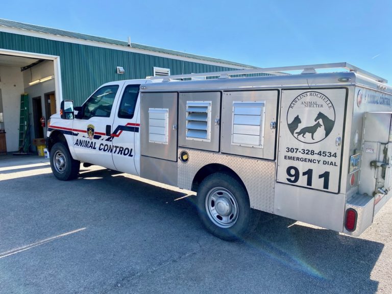 Rawlins Animal Shelter to Accept County’s Strays