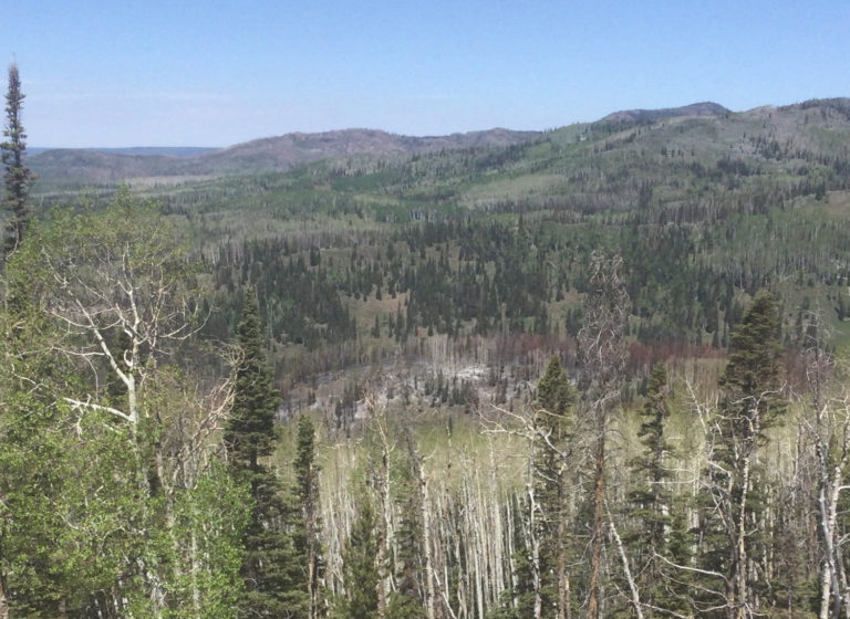 Crews working to suppress North Fork Fire in remote Sierra Madres